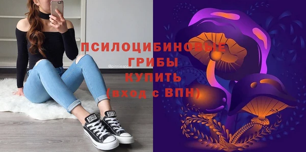 apvp Армянск